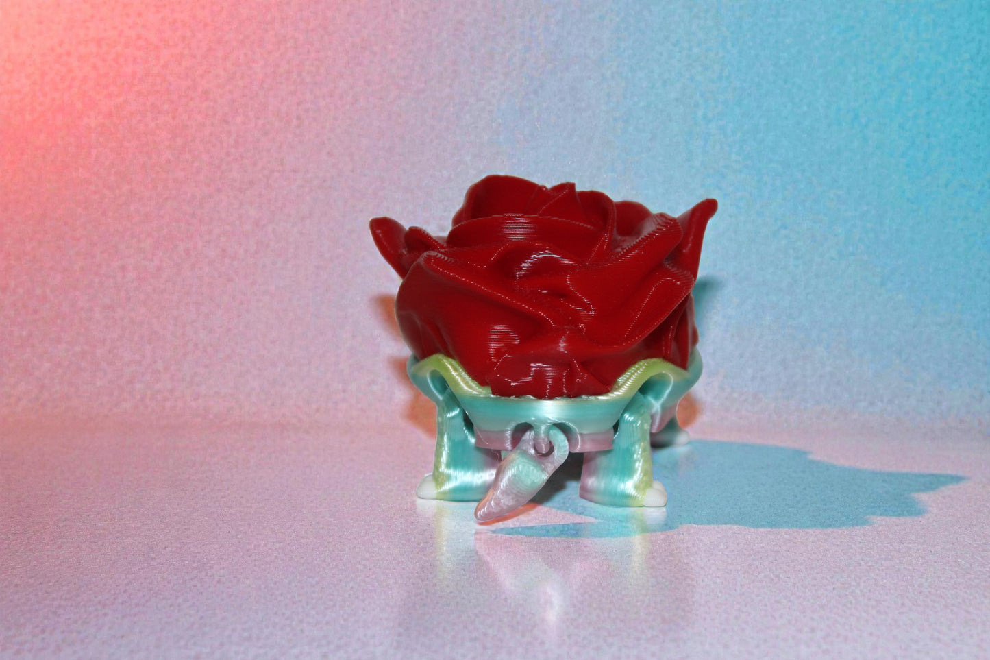 Rose Turtle