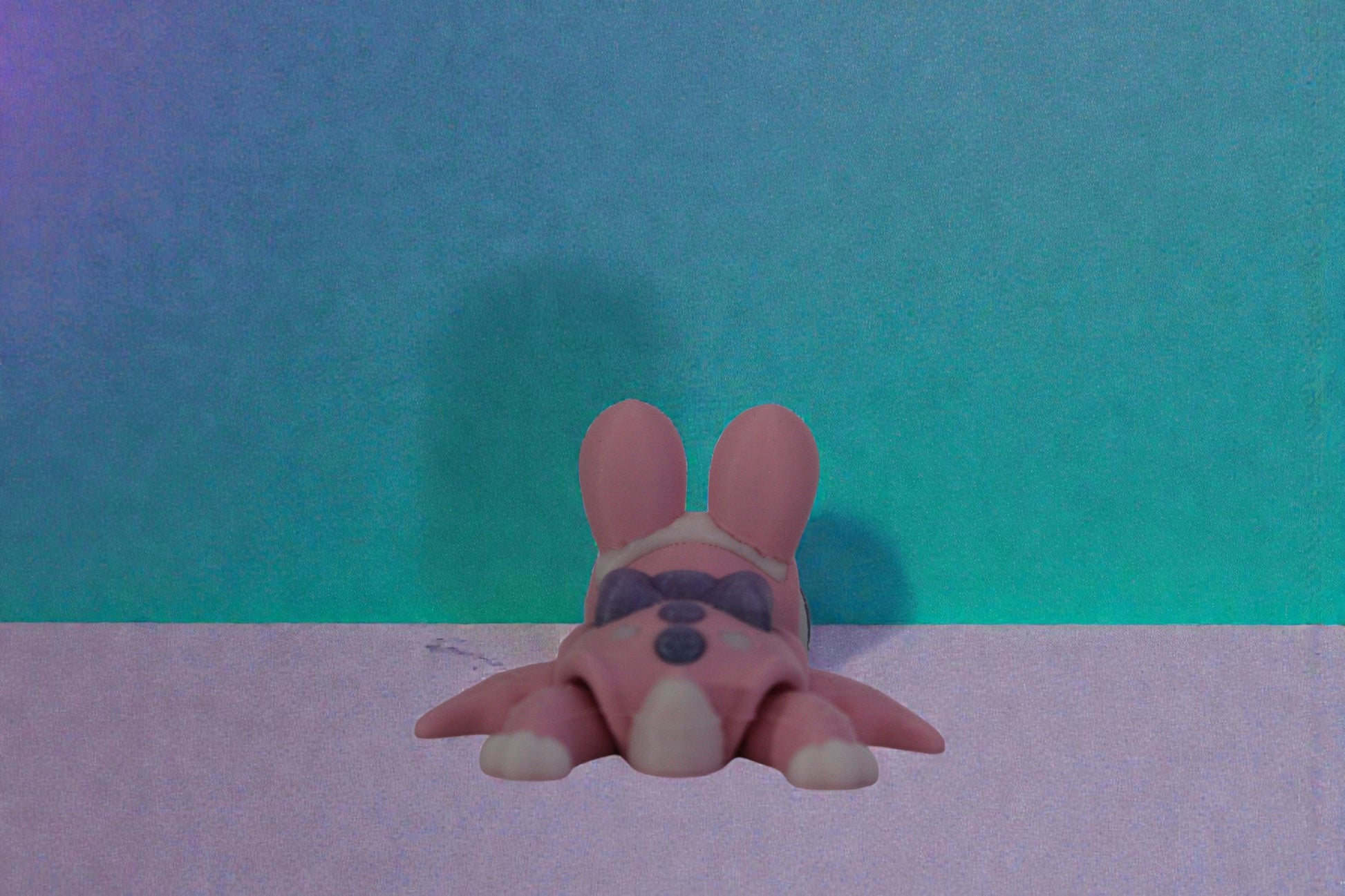 Rear view of the bunny turtle showing articulated shell segments and white tail detail.