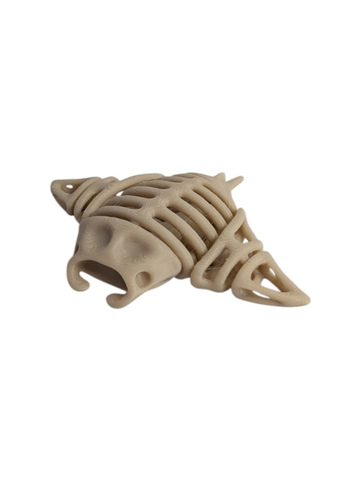 Skeleton Manta Ray