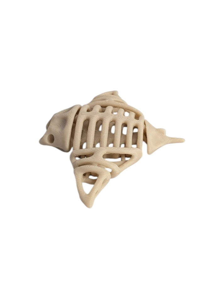 Skeleton Manta Ray