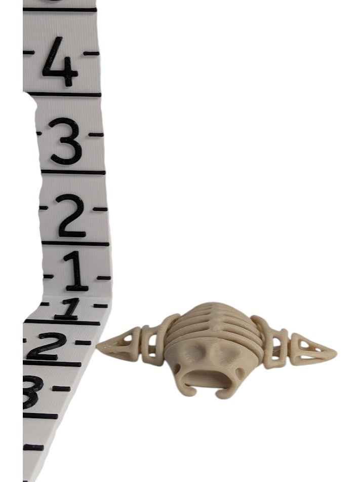 Skeleton Manta Ray