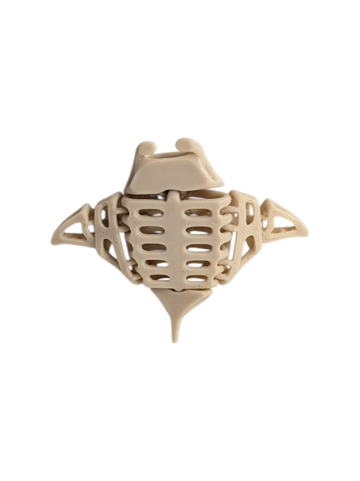 Skeleton Manta Ray