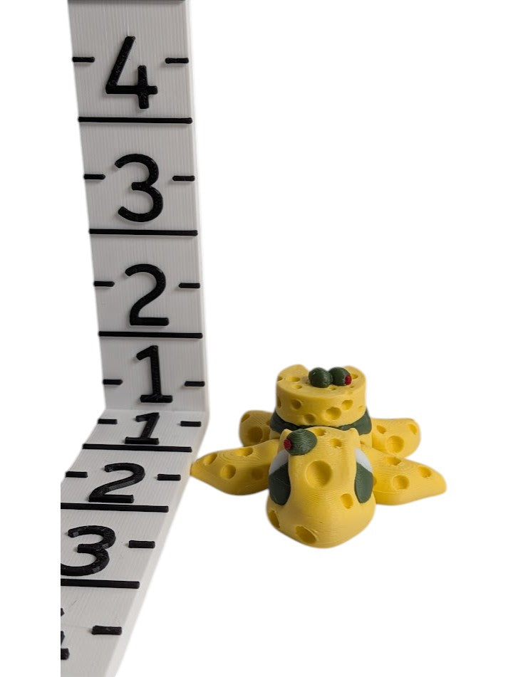 Swiss Cheese Turtle