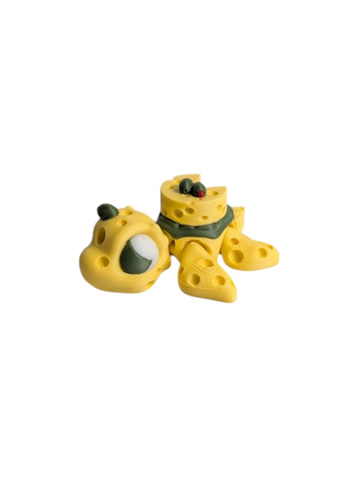 Swiss Cheese Turtle