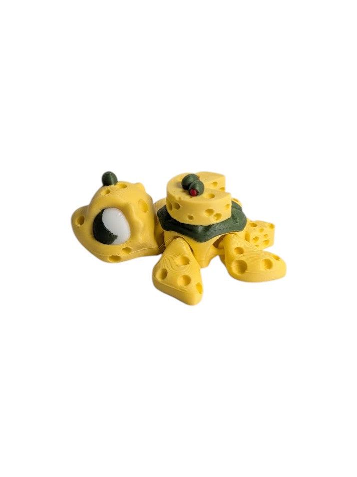 Swiss Cheese Turtle