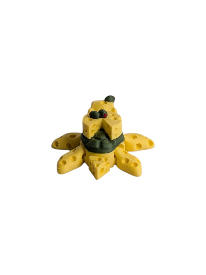 Swiss Cheese Turtle