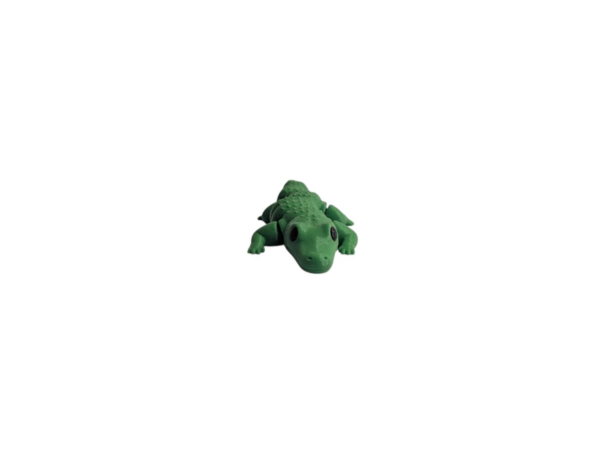 Ally the Articulated Alligator